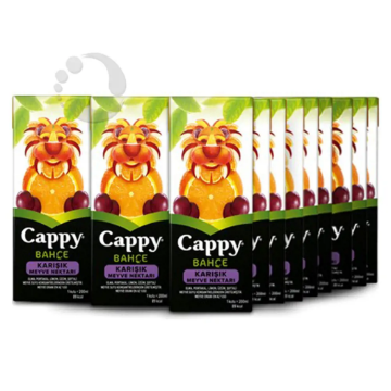 Cappy Meyve Suyu Karışık 200 ml resmi